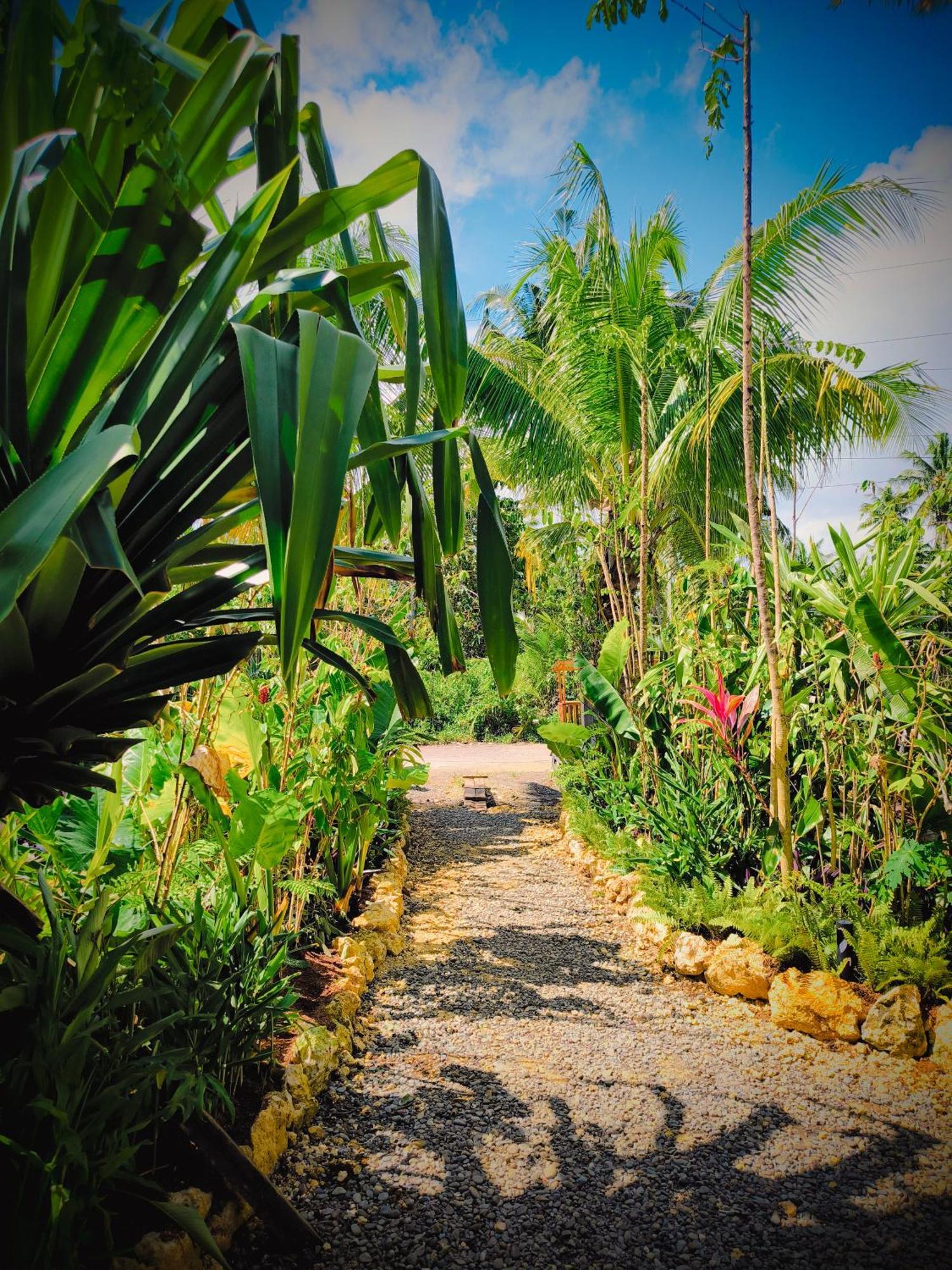 The Ohm Siargao Resort General Luna  Exterior foto