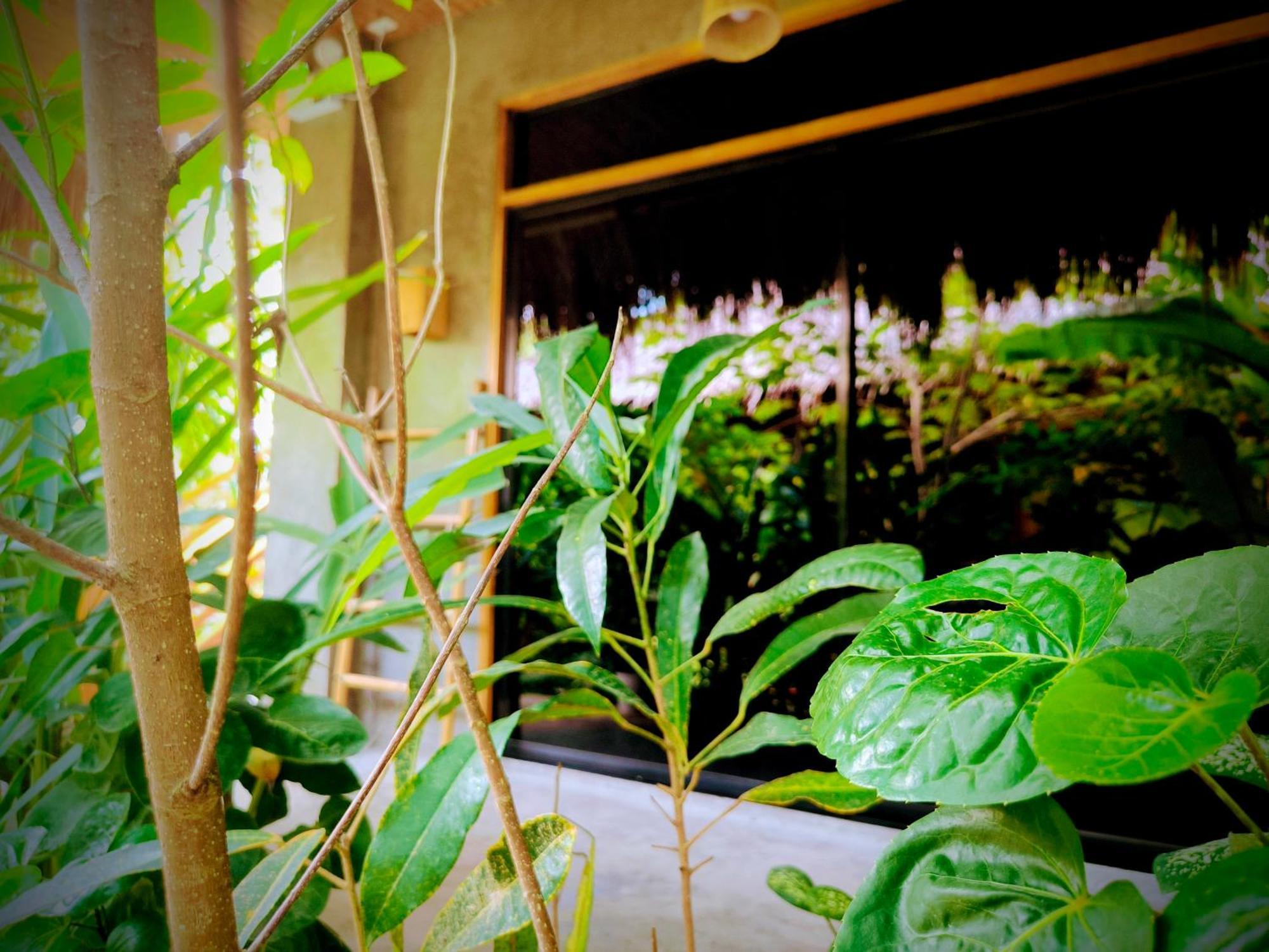 The Ohm Siargao Resort General Luna  Exterior foto
